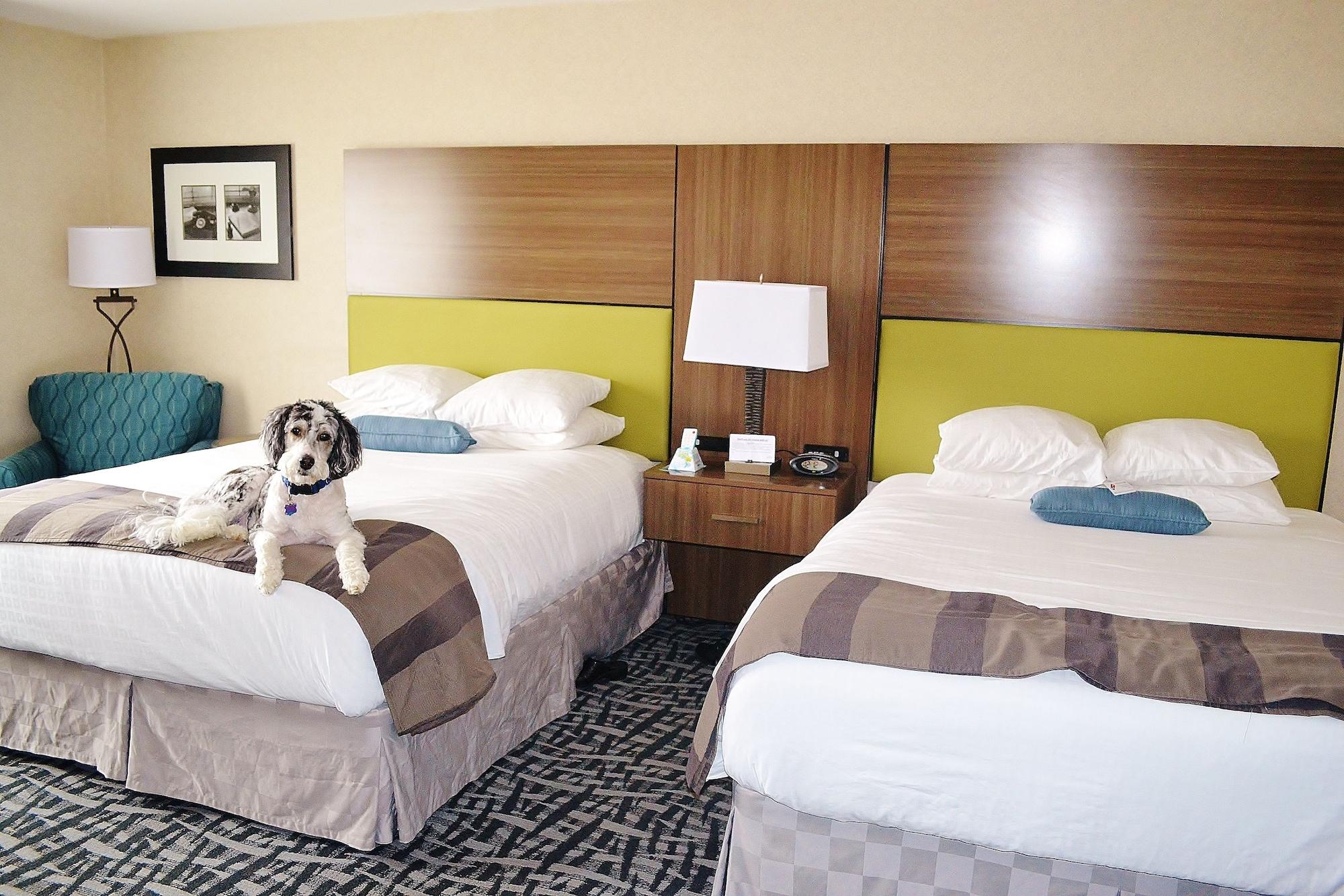 Best Western Dubois Hotel Экстерьер фото